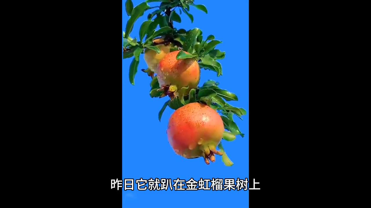 第5章这才是大变活人啊#推文超好看小说