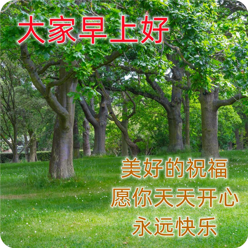 早上好最漂亮问候语动态表情图片,最美早安问候图片带字动态