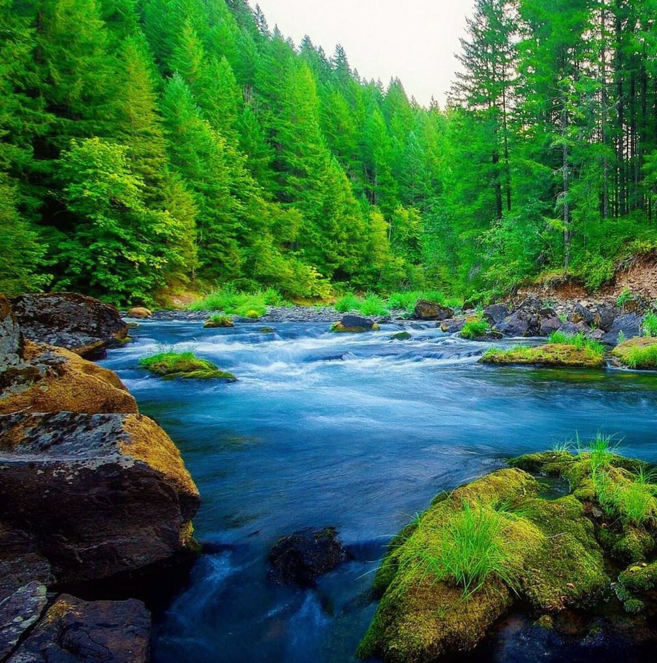 2018高考英语全国卷1短语,高考英语必背短语大全