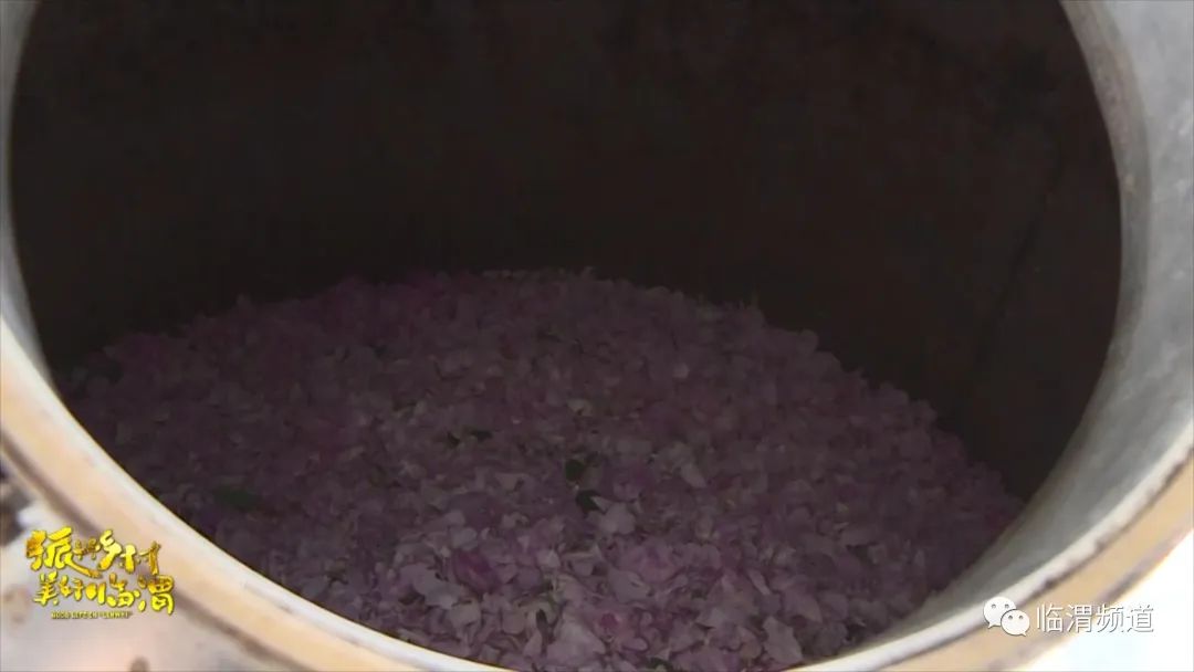 《振兴乡村美好临渭》临渭区丰原镇北雷村：玫瑰绽放“美丽经济”花香铺就致富路