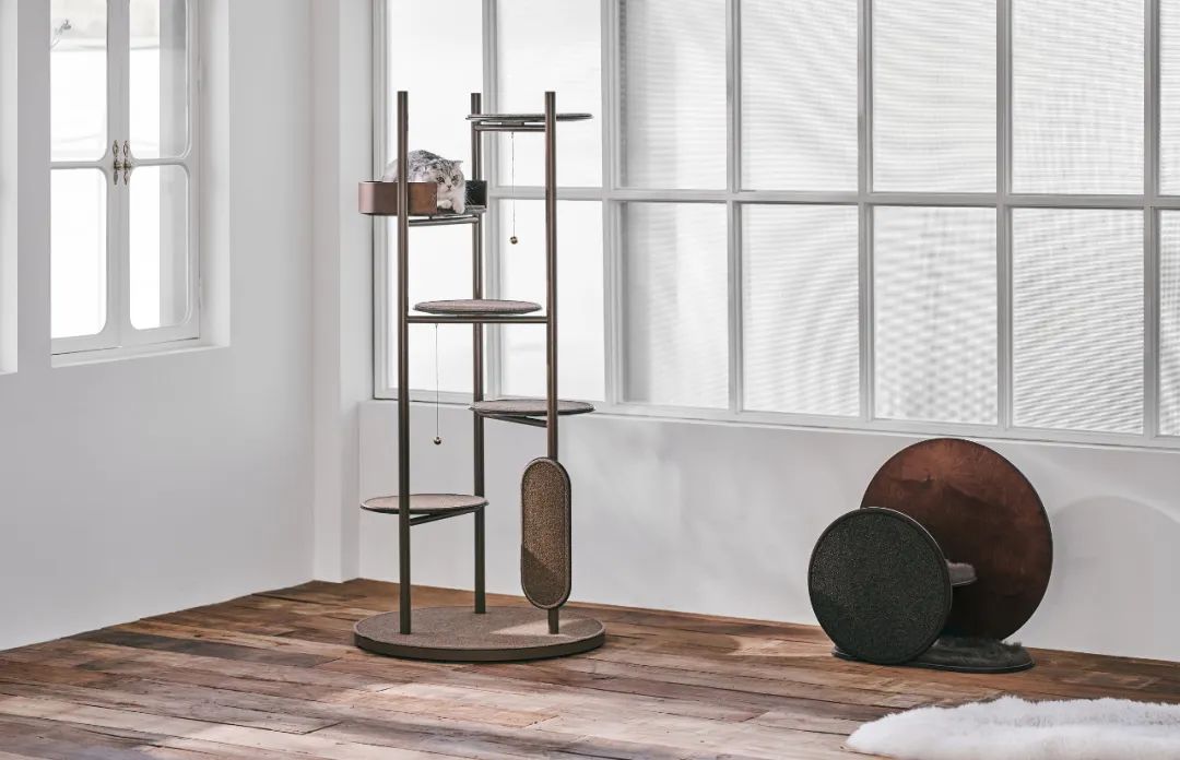 2022年iF设计奖：宠物用品类