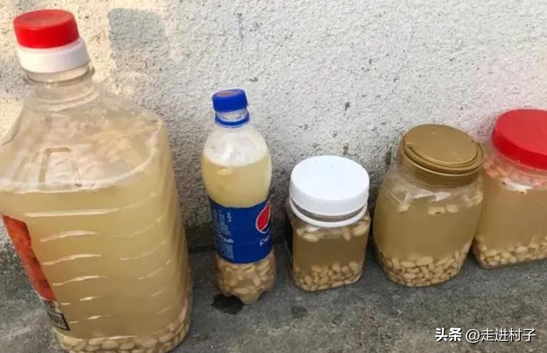 种植白菜什么时候施肥最好,白菜幼苗追肥方法视频