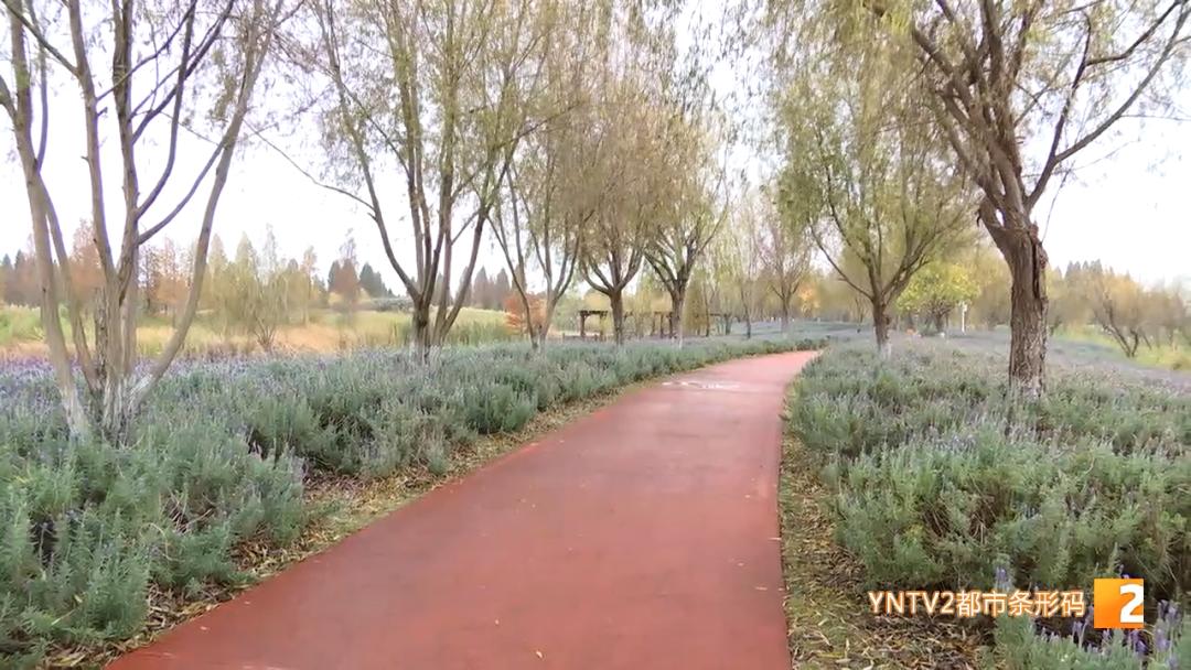 昆明周边人少景美的地方,昆明附近三四小时车程好去处