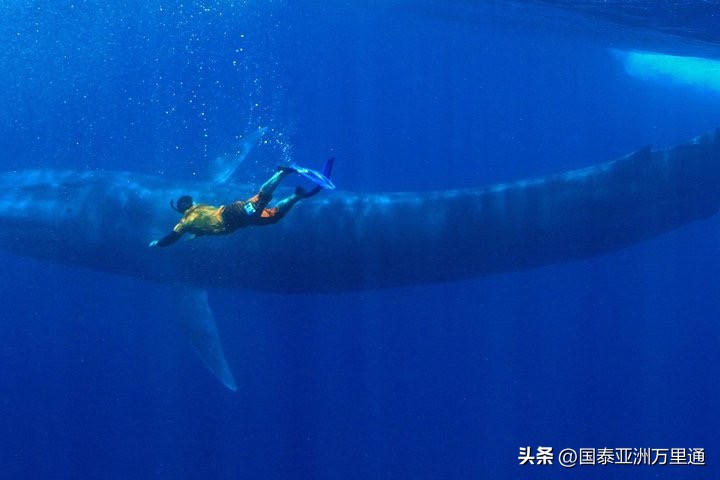 一年四季绝美风景 (关于季节性的旅游景观)