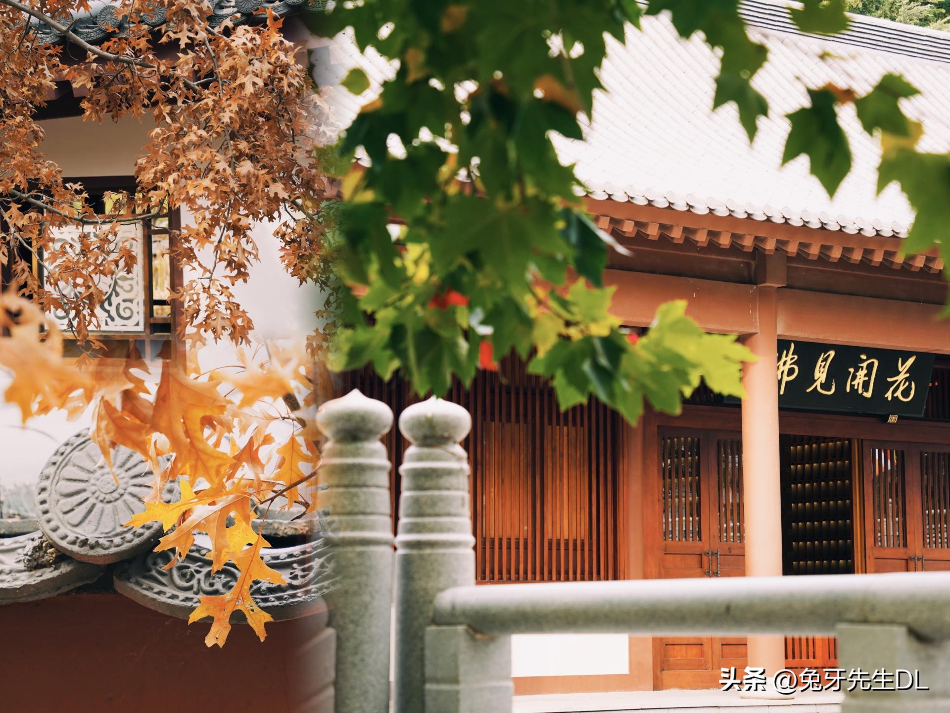 东芝电饭煲rc-10,东芝RC-10LTC电饭煲