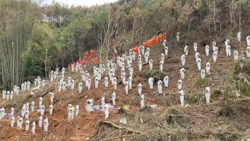 东航mu5735坠机事件最新,东航mu5735坠机事件还原