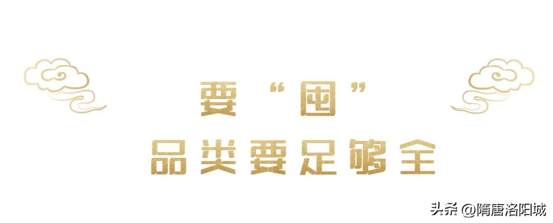 看鉴三国至隋唐的文化,看鉴唐朝