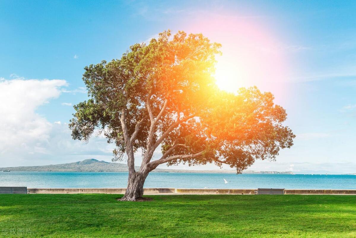 春天晒背养阳,晒背养阳有什么好处