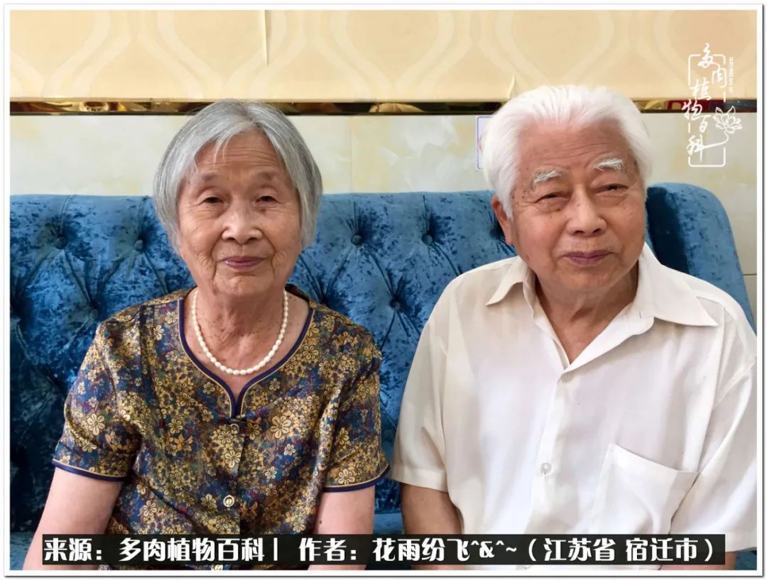 回味童年无忧无虑的快乐时光,童年最快乐的时光