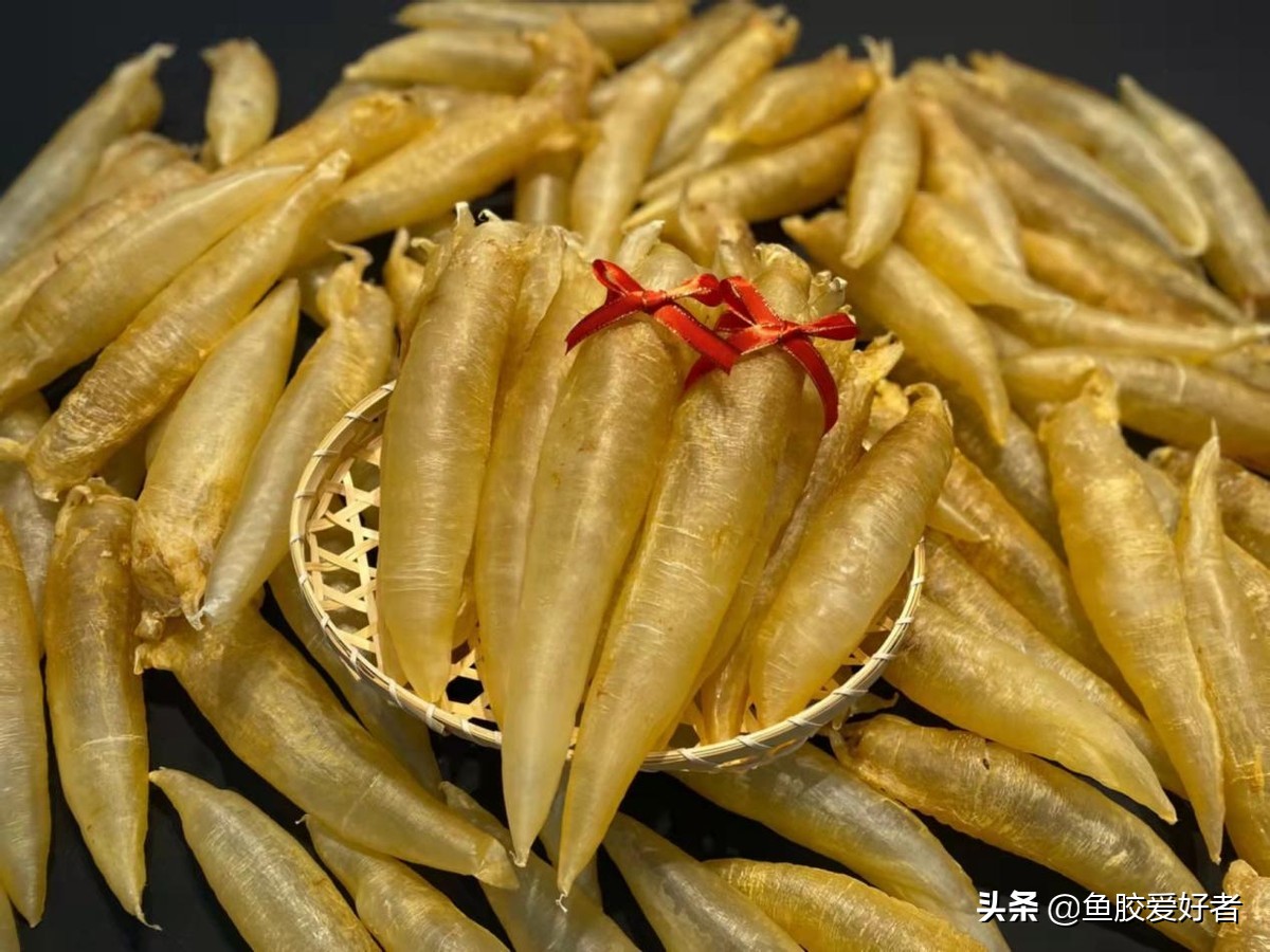 最全鱼胶品种大全,值得收藏的鱼胶品种