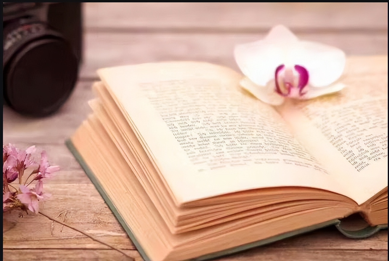 怎么写吸引人的评论文案,怎么写出吸引人的荐书稿