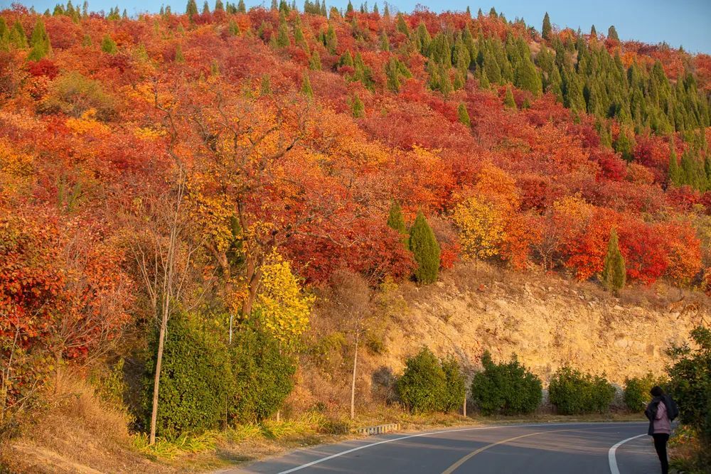 天津赏秋自驾盘山,天津盘山风景区10月秋景