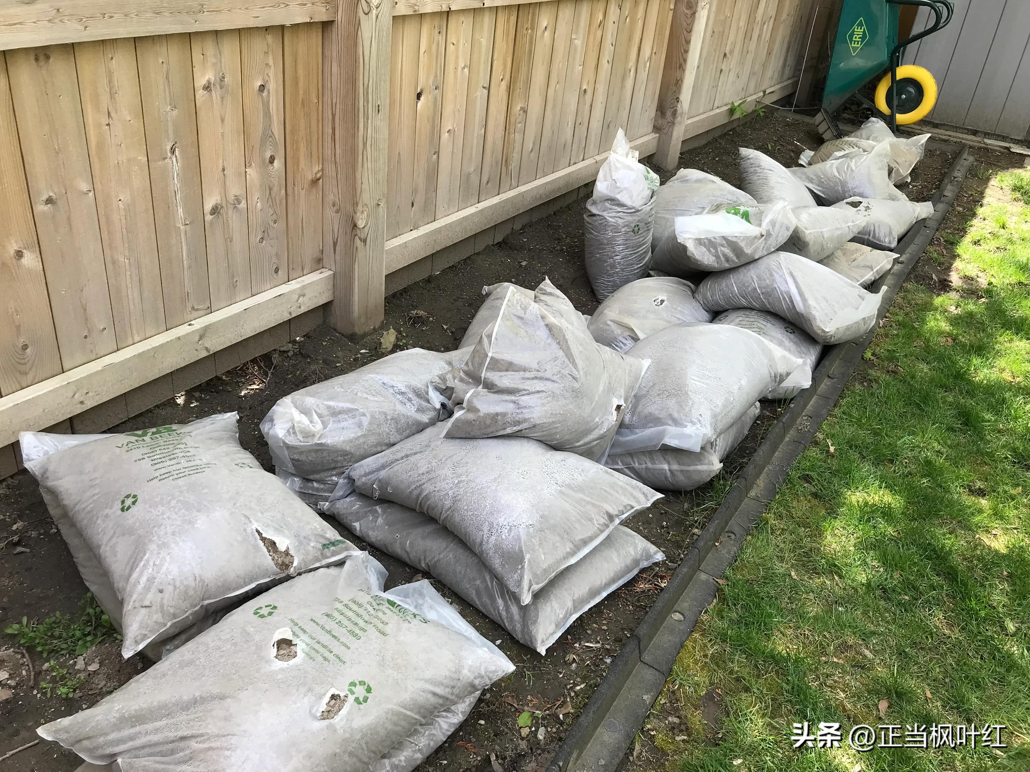 中国姥姥生活视频,中国姥姥在澳洲