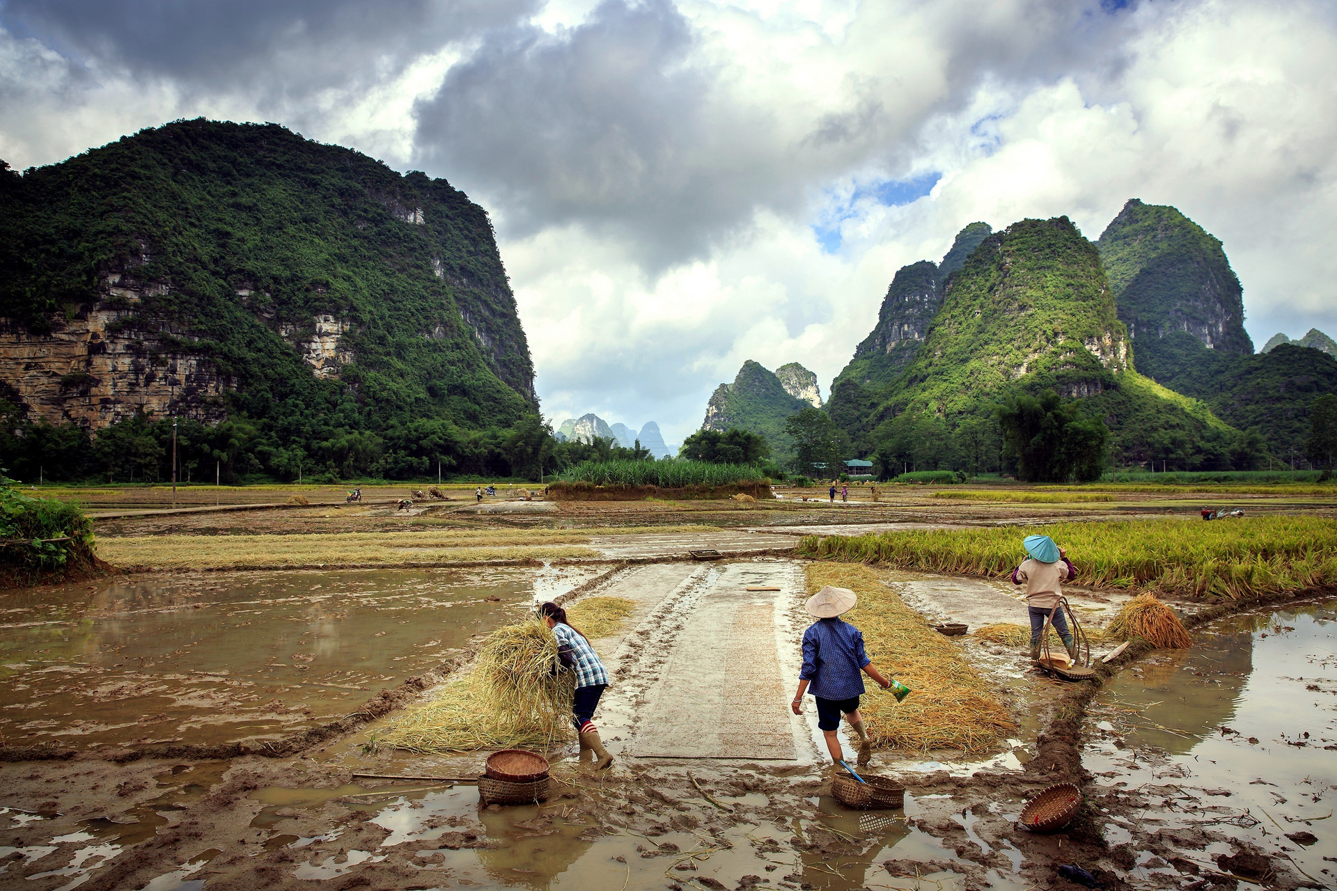 走遍广西旅游,各省旅游广西