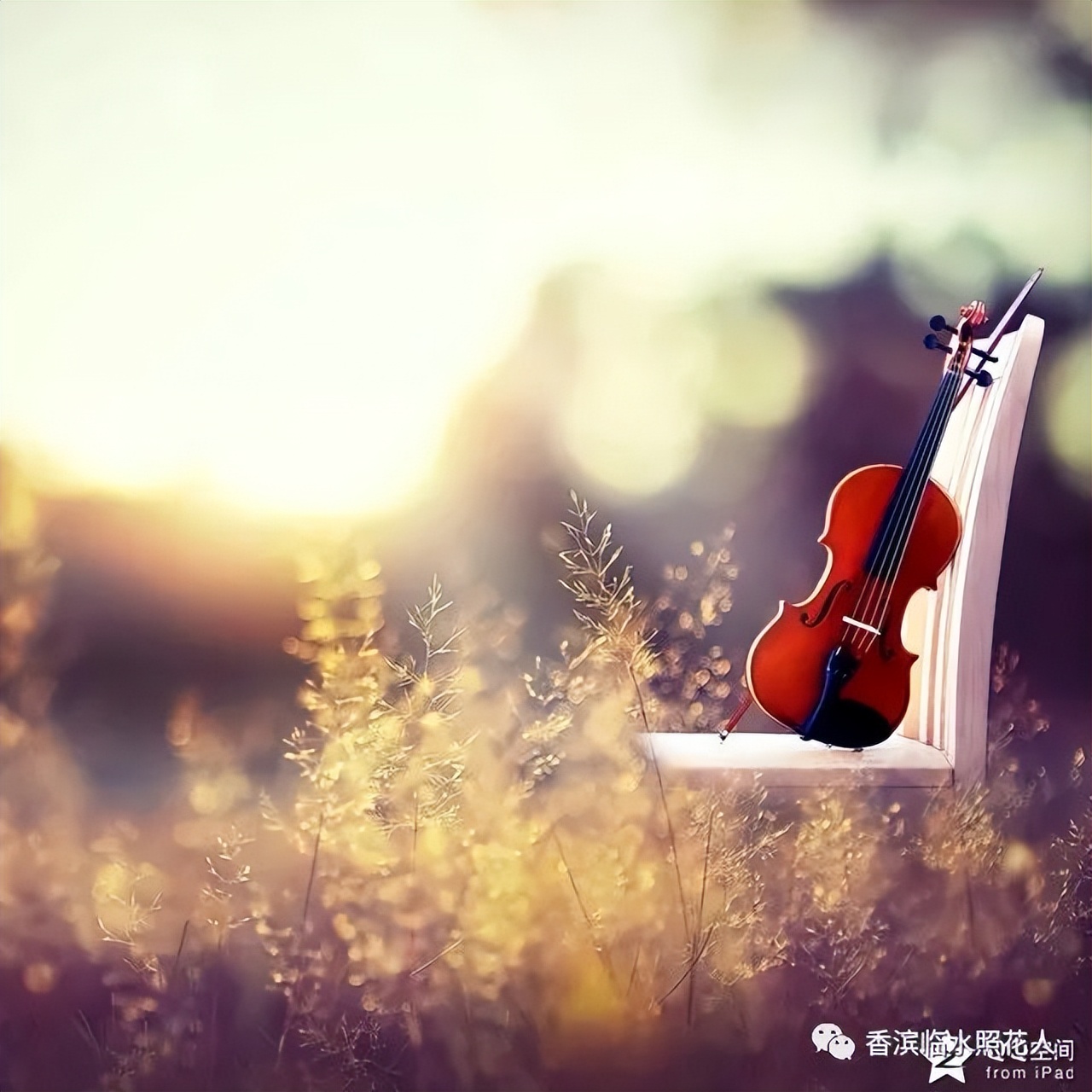 奋斗成就梦想作文记叙文,奋斗成就梦想的作文五年级