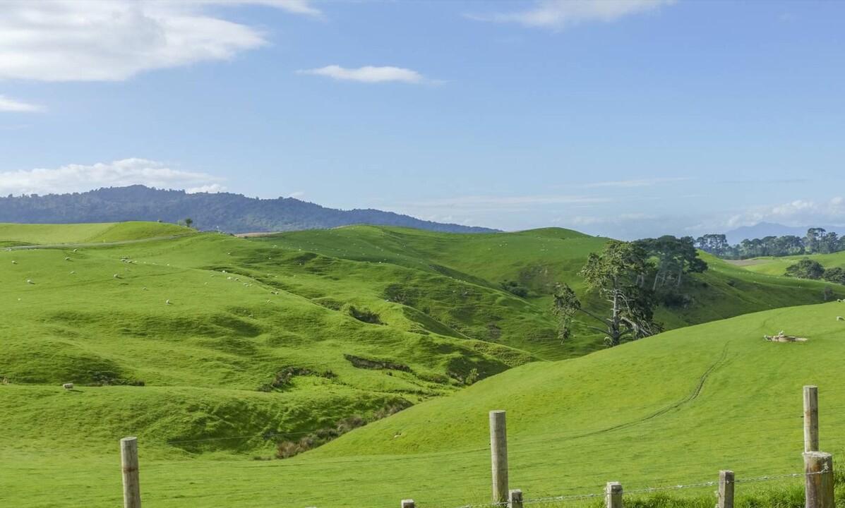 中国炒房团在海外有哪些操作,新西兰房产市场炒房最新政策