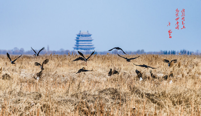 四大名楼鹳雀楼介绍,中国四大名楼鹳雀楼