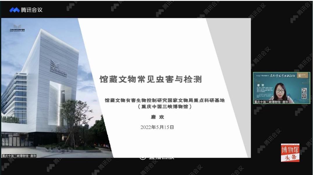 鏂囧寲閬椾骇淇濇姢鏂囩珷,鏂囧寲閬椾骇淇濇姢鎺柦璁烘枃