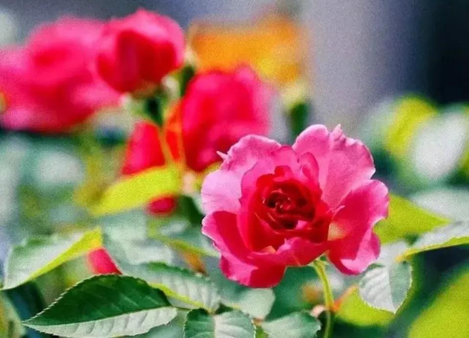 看了2022年平均工资，才知道最吃香的就业专业是哪些