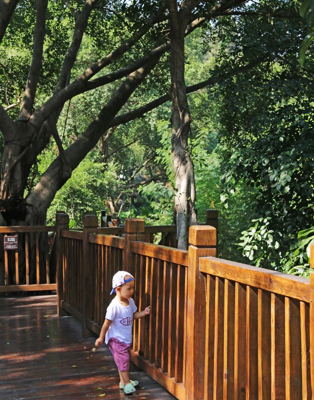 厦门旅游攻略亲子五天四晚冬季游,厦门晚上亲子旅游