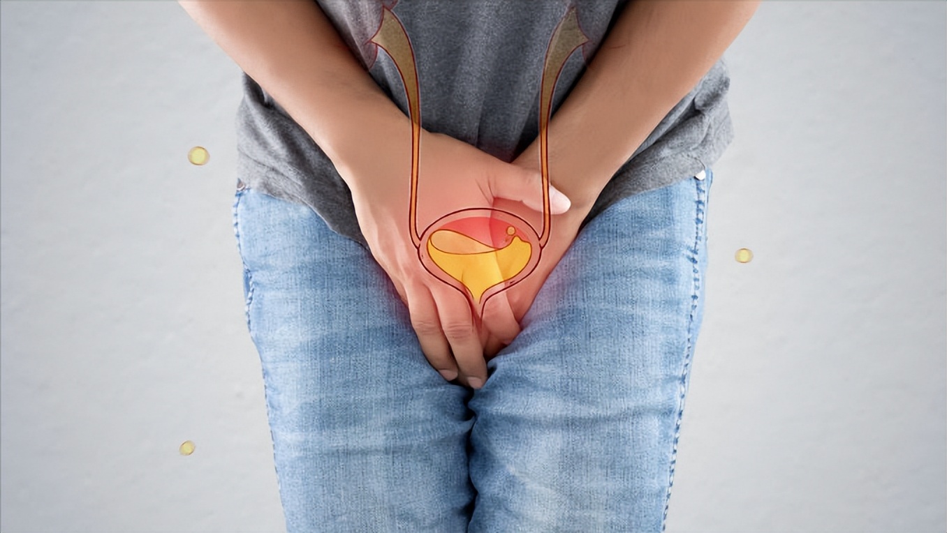 膀胱炎和肾阳虚尿频的区别,慢性膀胱炎尿频可以除根吗