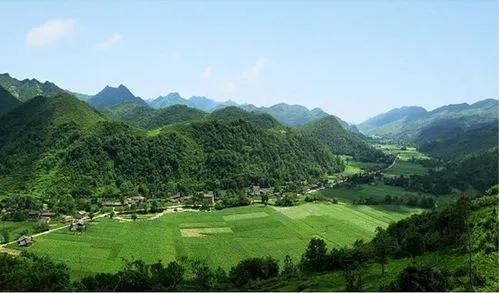 夏天的重庆是一个巨大的森林氧吧,重庆有哪些地方被评为天然氧吧