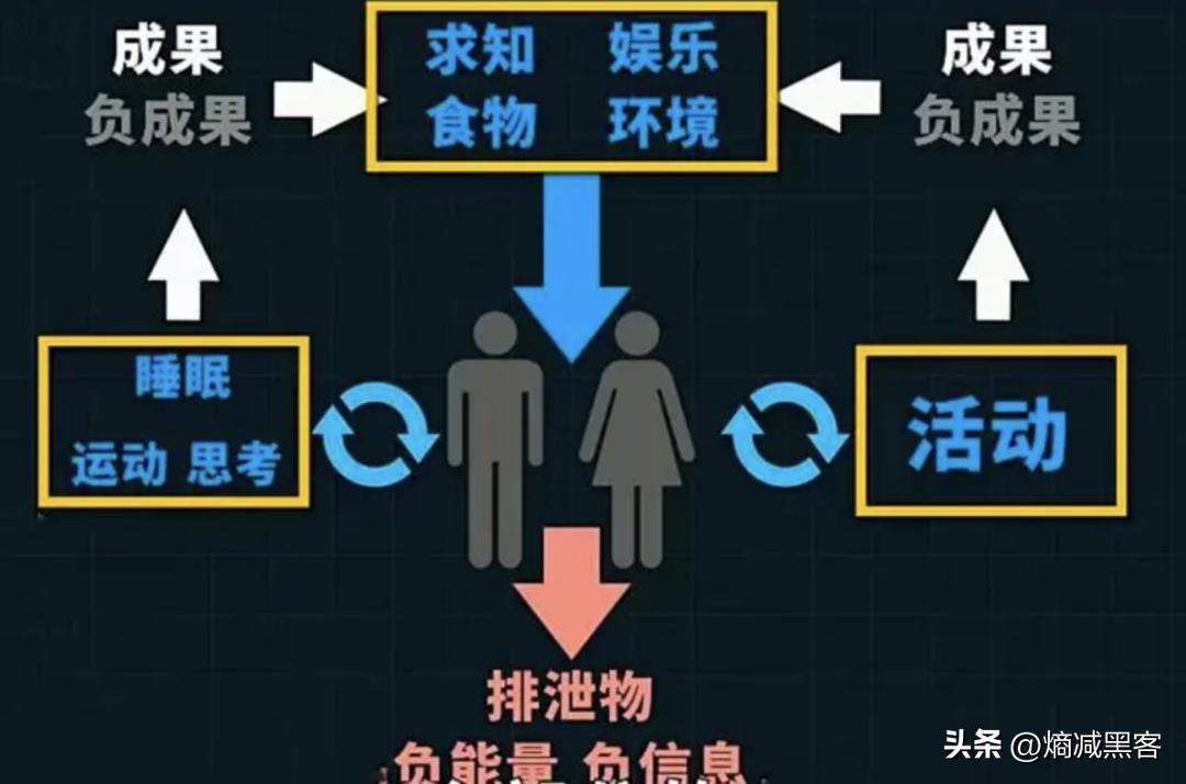 熵增原理对个人成长启发,熵减的人生哲理