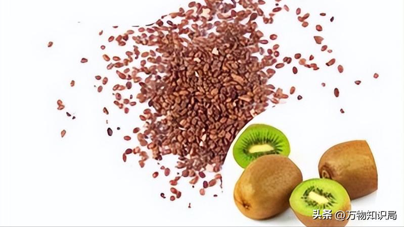 新西兰控告中国果农胜诉了吗,果农罚款