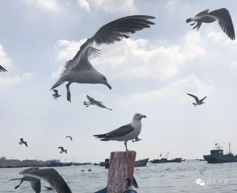 马尔代夫最有趣的岛,马尔代夫天然岛推荐