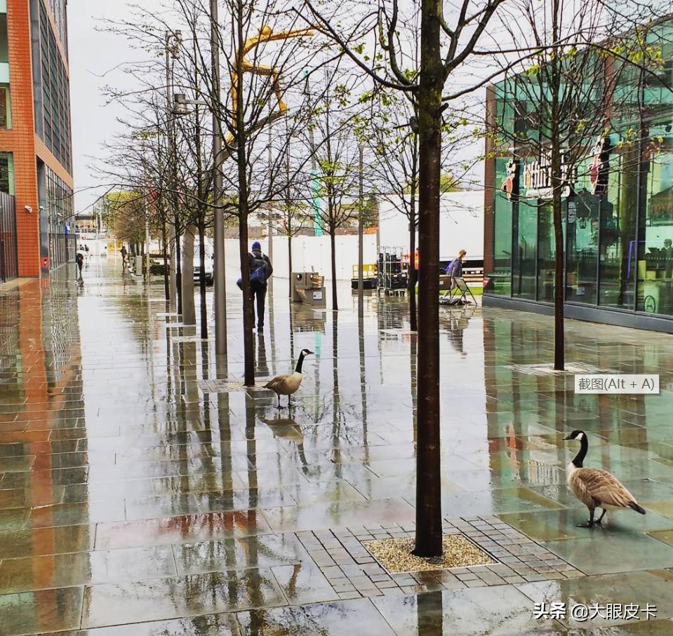 英国足球氛围最好的地方,英国足球氛围最浓的地方