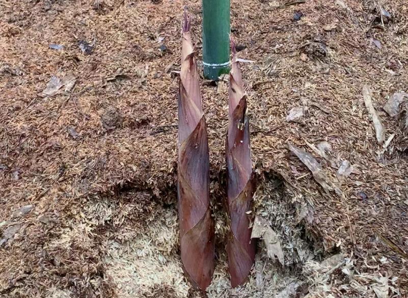 40到50岁创业商业思维致富经,创业者说科技兴国