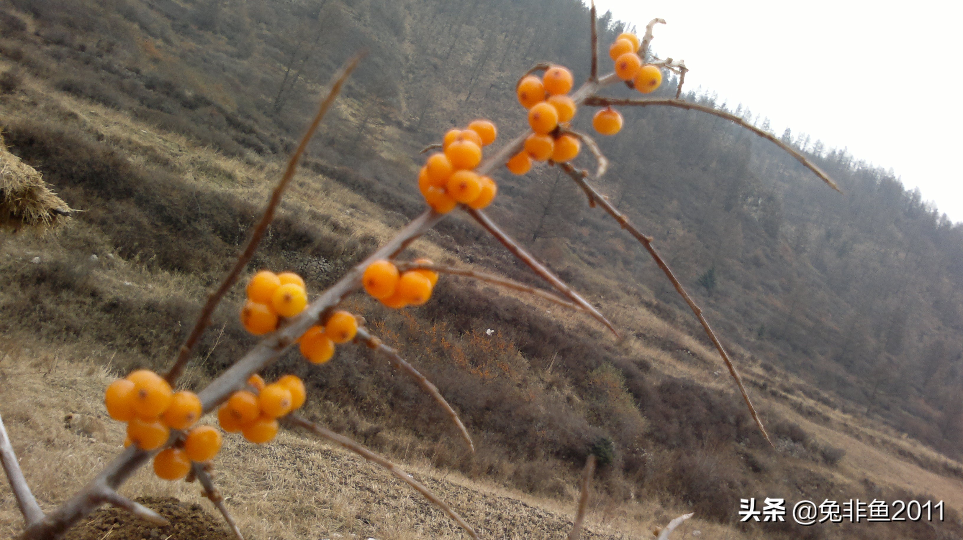 山西冰洞自由行攻略,山西宁武万年冰洞游记