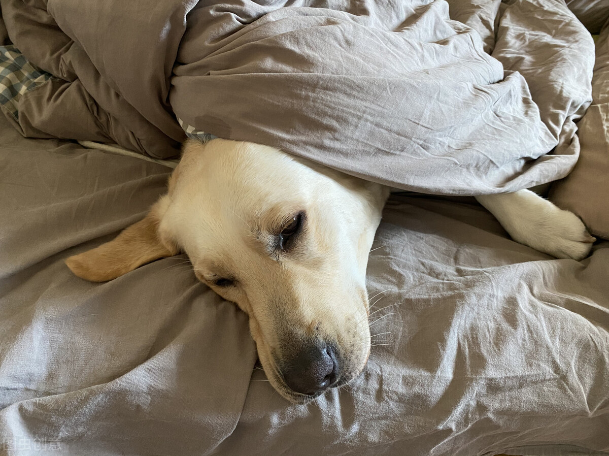 适合冬天卖衣服的文案,可以陪我过冬吗文案