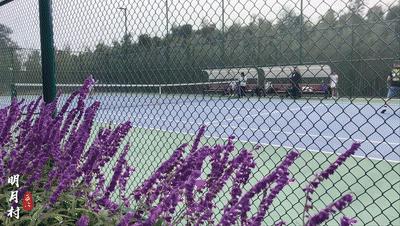 四川省蒲江县最美生态乡村,蒲江网球场