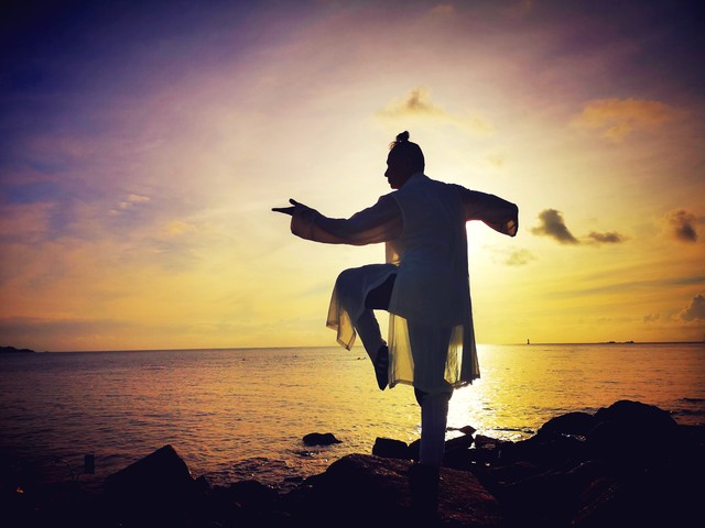 杨氏太极拳的太极步视频,杨氏太极步