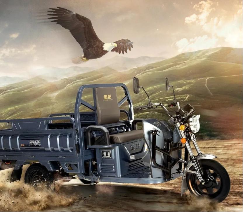 金彭和淮海三轮车对比,金彭与淮海电动三轮车的优缺点