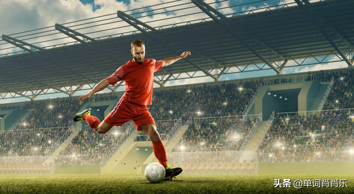 有言有味说单词30讲,有言有味说单词视频