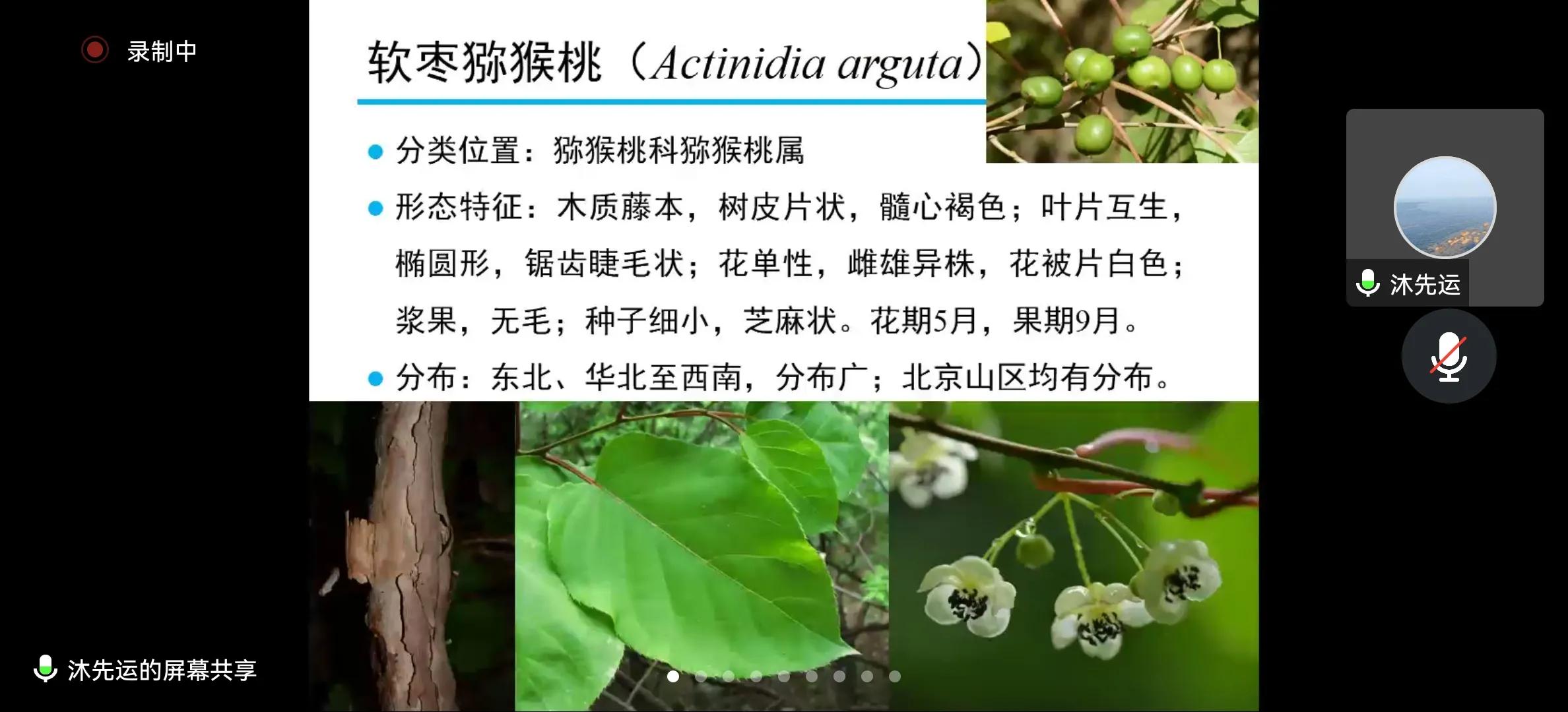 捕鸟获刑,捕鸟被抓要坐牢吗