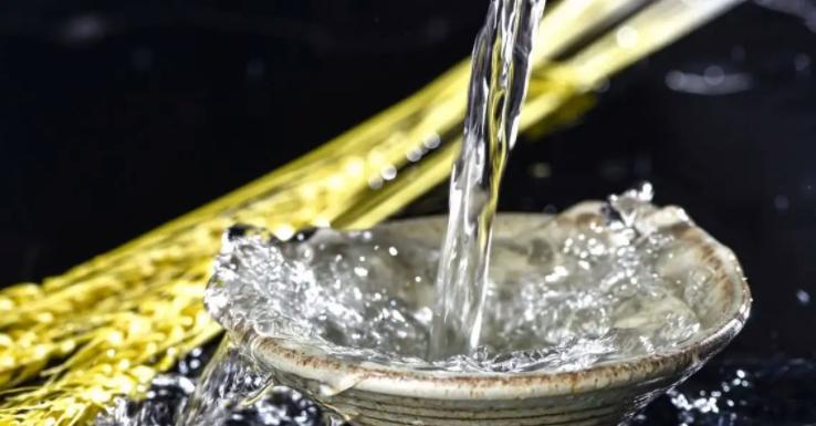 茅台和老村长有什么区别,老茅台和老村长的区别