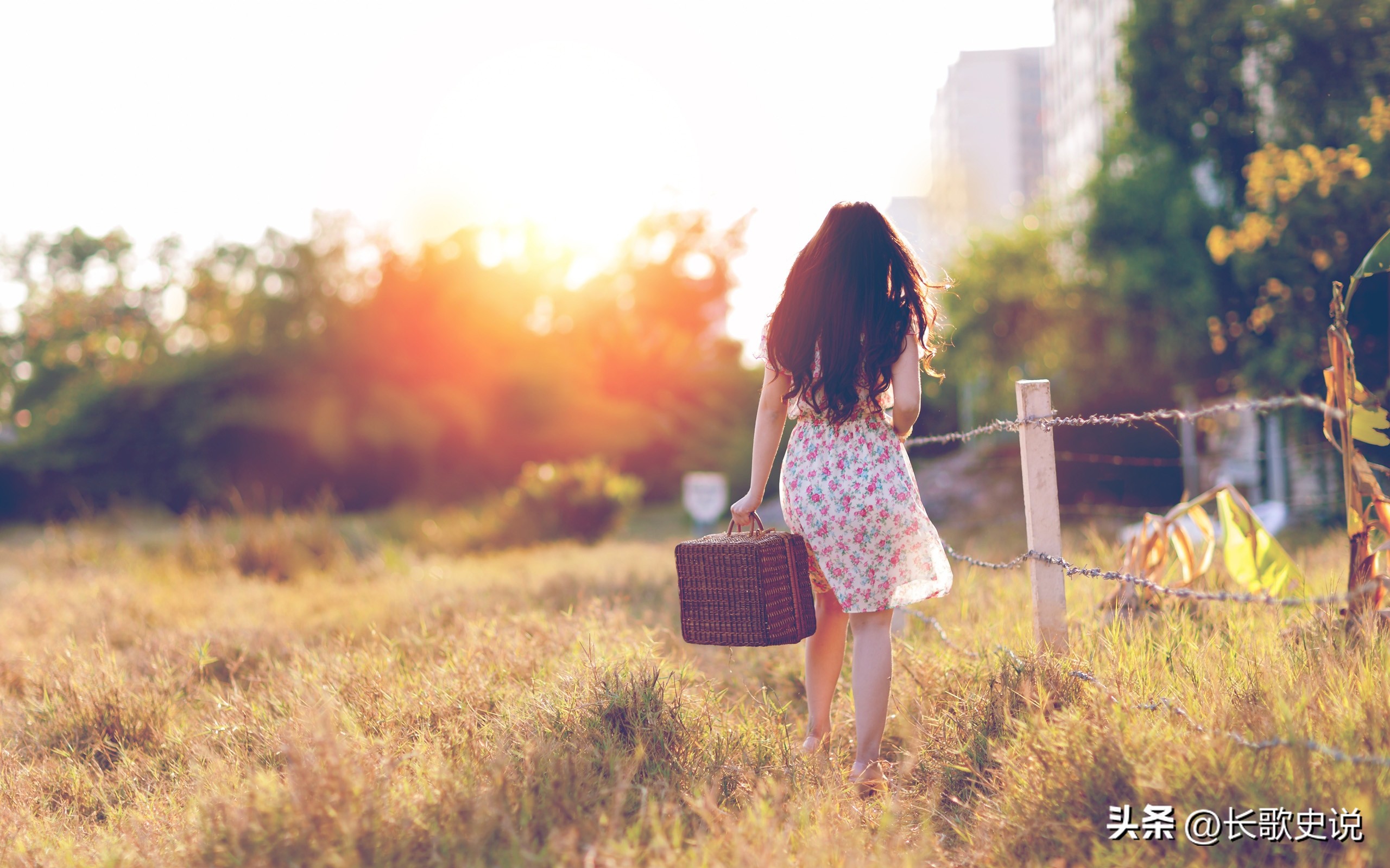 “陪睡三天能赚六十万？”外围女的生存真相，高薪背后尽是悲凉！