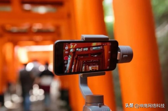 短视频做哪些内容容易变现,怎么在短视频平台快速崛起并变现