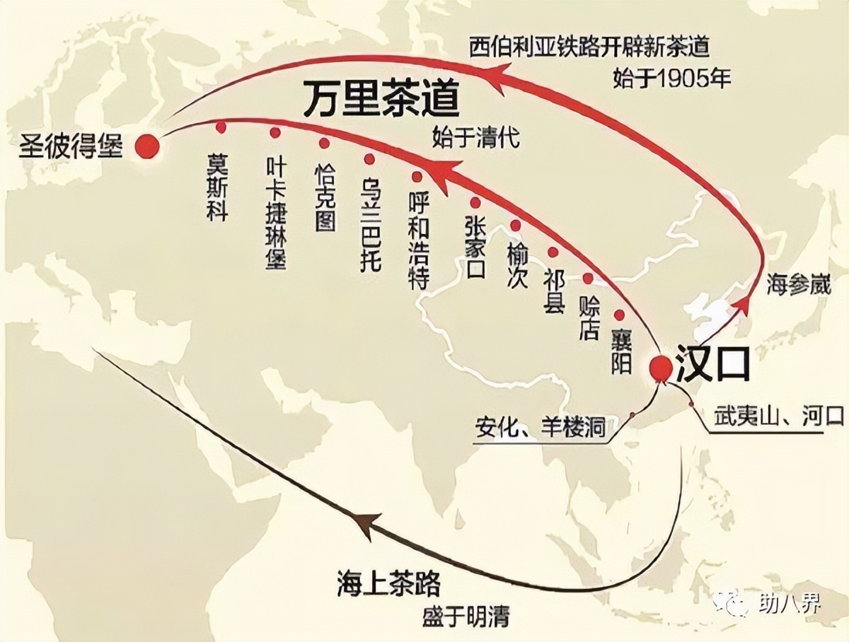 武汉十大旅游景点排名,武汉江夏网红打卡景点大全