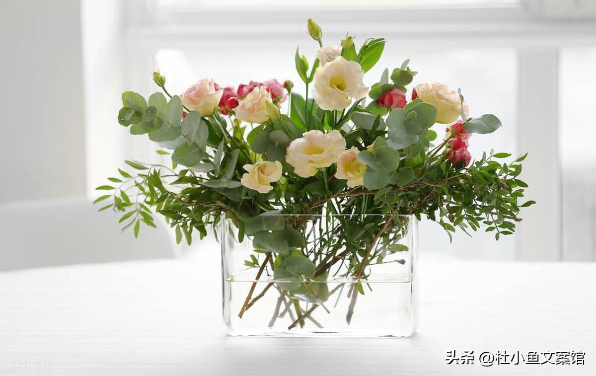 学习如何发朋友圈文案感悟和心得,发朋友圈积极自信文案高级感