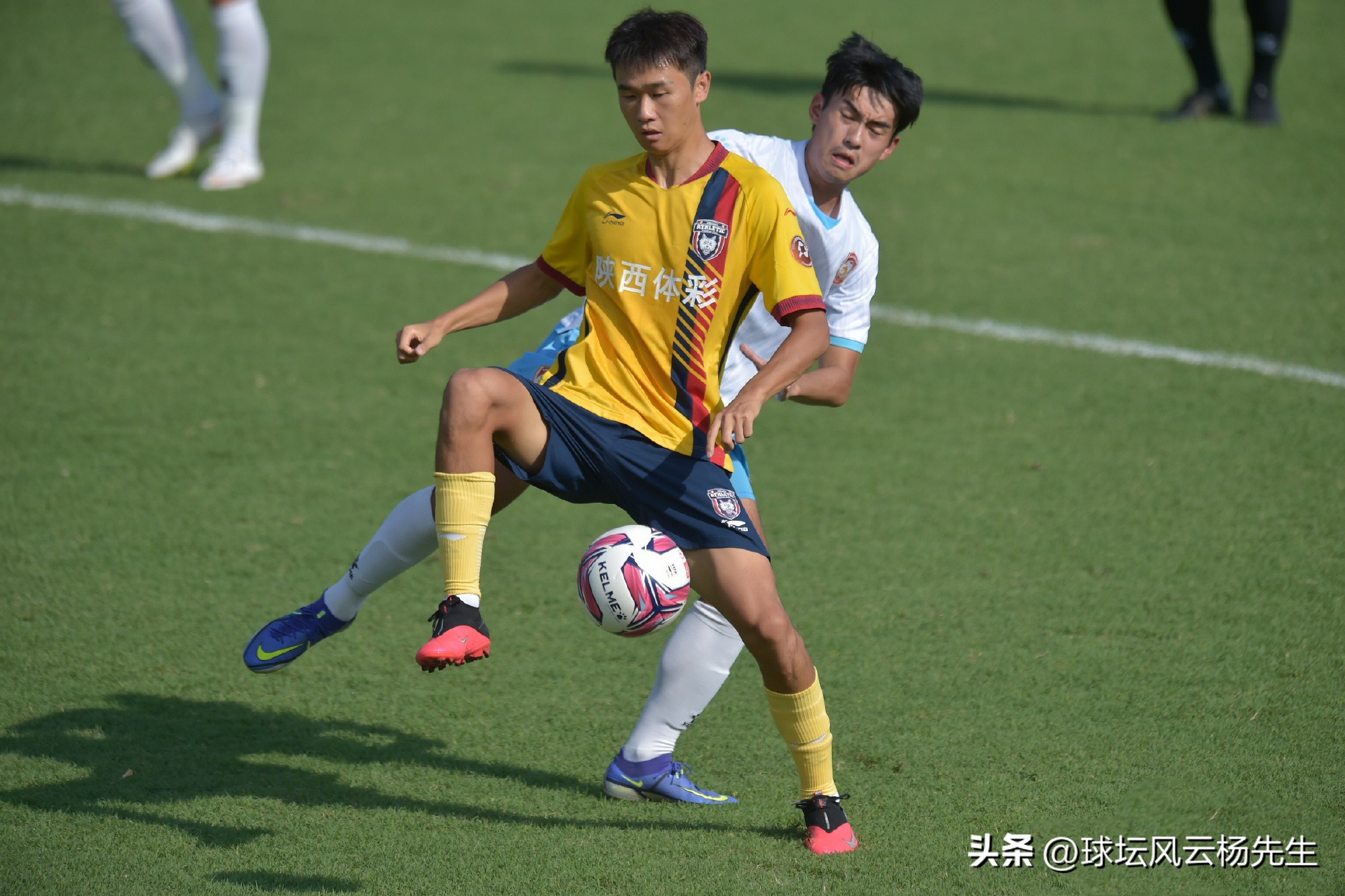 青岛海牛vs淄博蹴鞠直播,山东爆冷辽宁排球