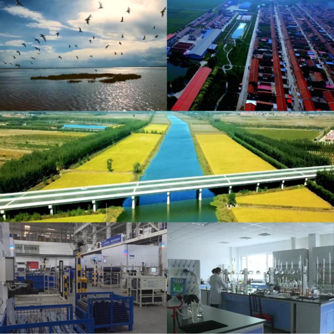 生态美景自然风光,天津宁河区有啥好景观