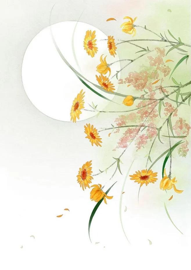 唯美手机壁纸高级感,唯美手机壁纸高清全面屏