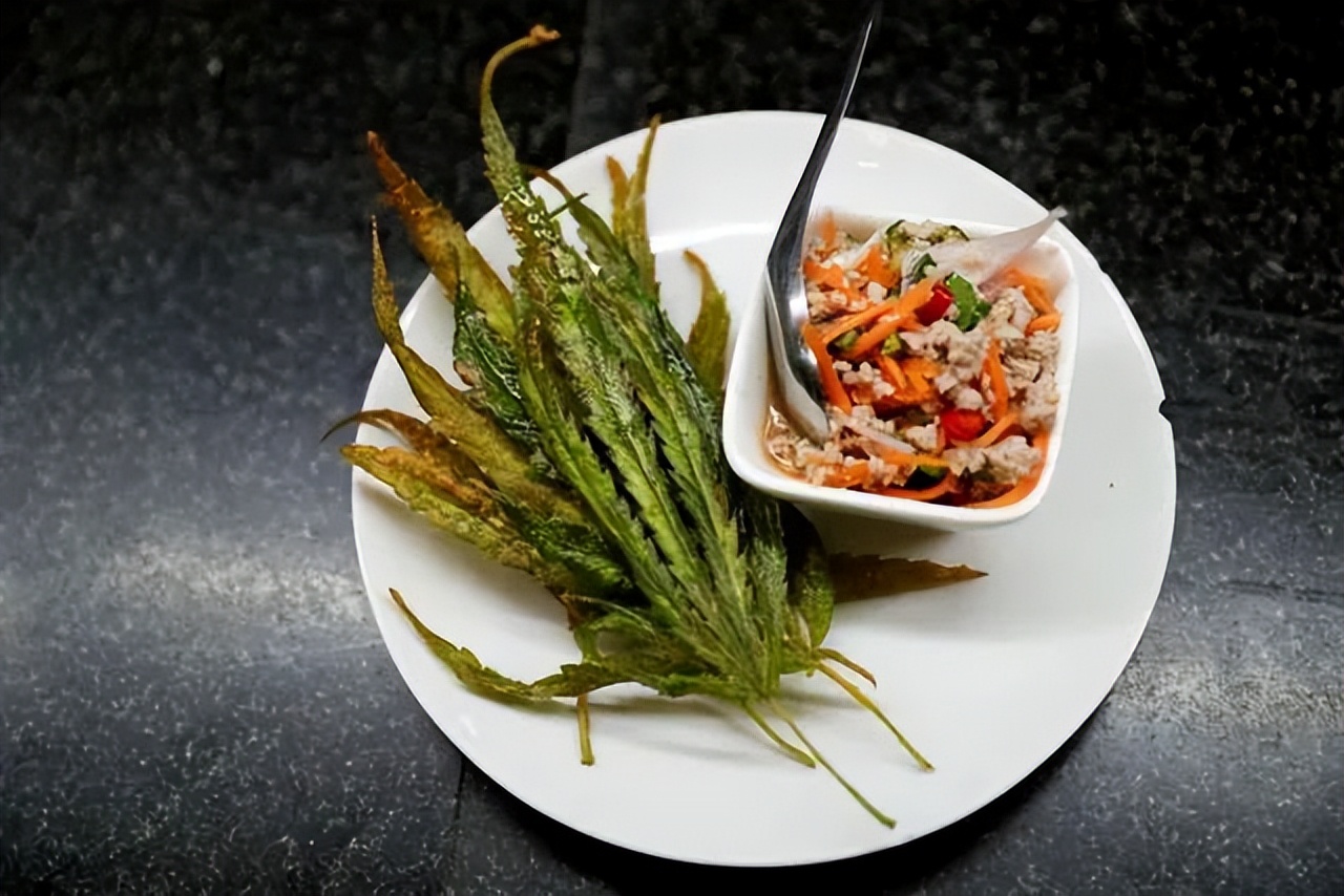 泰国需要注意的法规和禁忌,泰国再次调整入境政策了吗