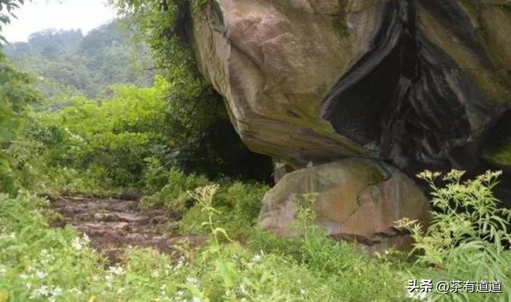 川藏南线茶马古道,四川荥经茶马古道路线图