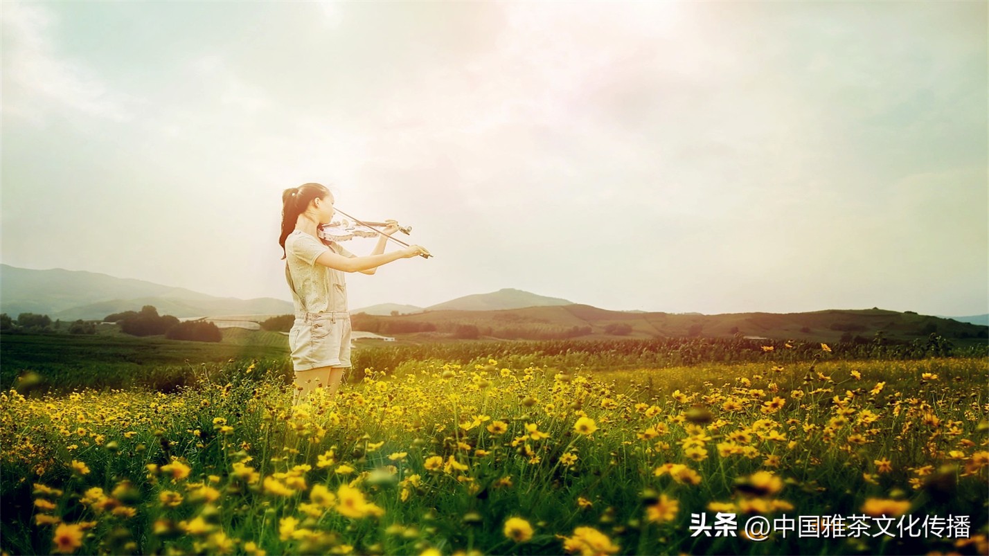 世事浮华岁月喧嚣,岁月如歌谁与共浮华若梦