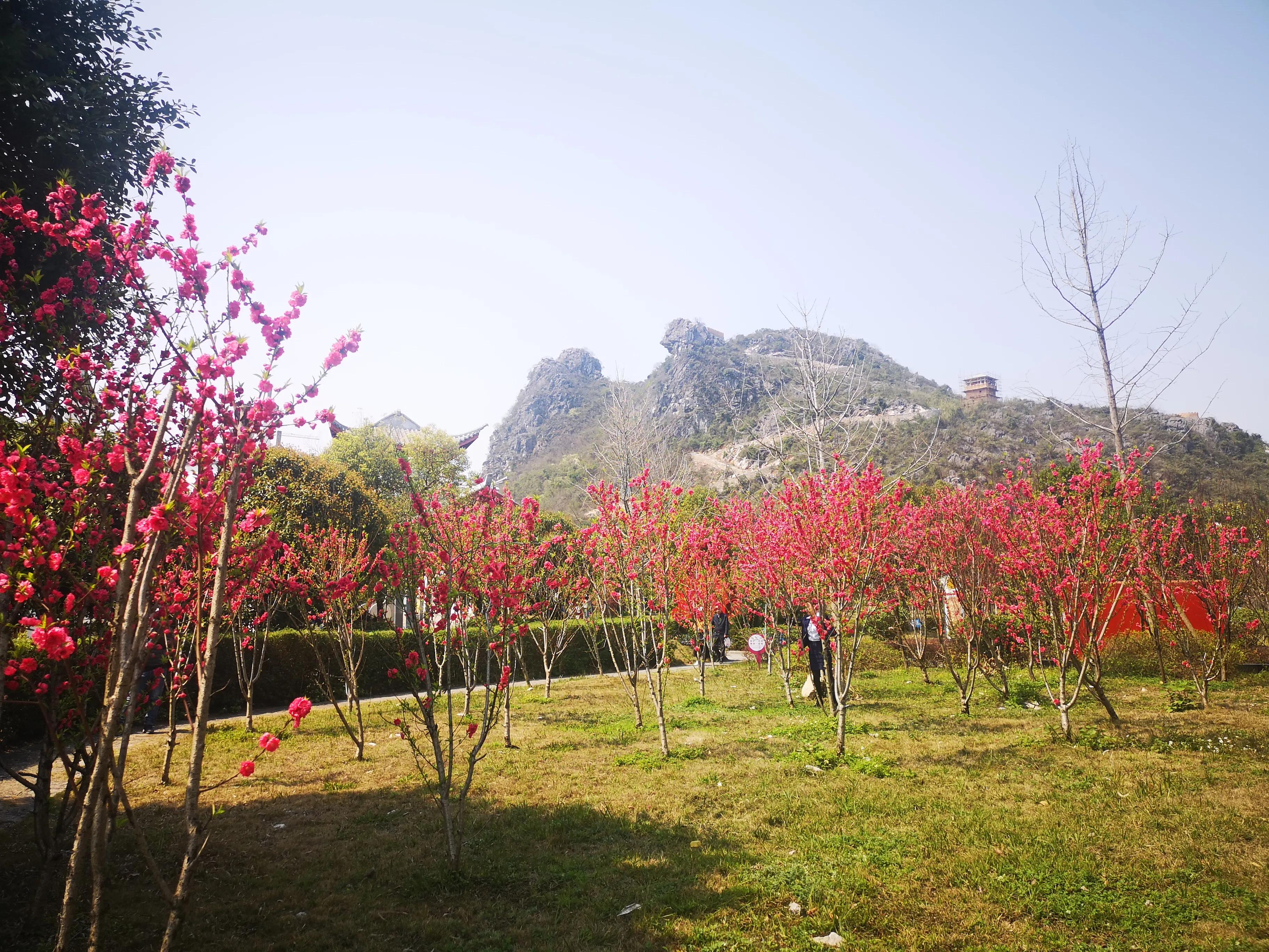 怎么用太阳能板给原车充电,太阳能板怎么给电动汽车充电